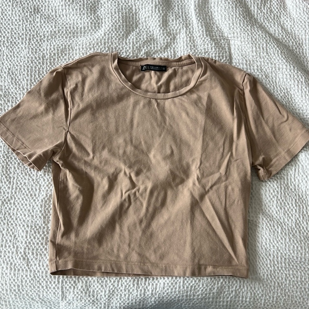 Zara Cropped Top